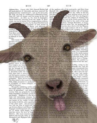 Framed Funny Farm Goat 2 Book Print Print