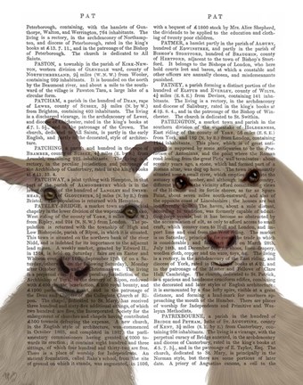 Framed Goat Duo, Looking at You Book Print Print