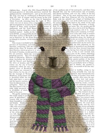 Framed Llama with Purple Scarf, Portrait Book Print Print