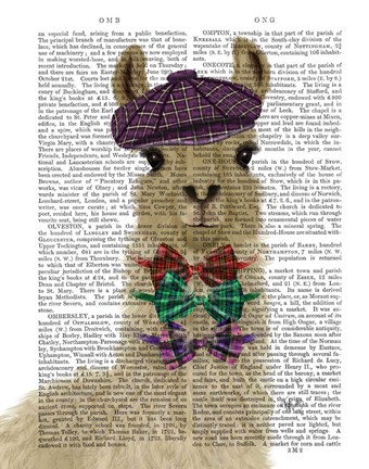 Framed Llama Dapper Book Print Print