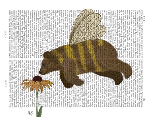 Framed Bear Bee Book Print Print
