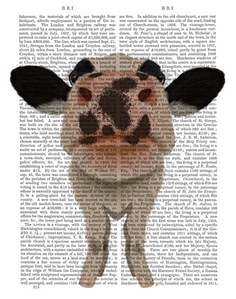 Framed Nosey Cow 1 Book Print Print