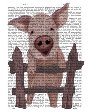 Framed Pig On Fence Book Print Print