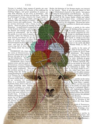 Framed Sheep with Wool Hat, Portrait Book Print Print