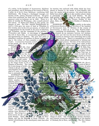 Framed Tropical Birds Nest 1 Book Print Print