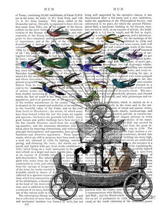 Framed Bird Boat Book Print Print