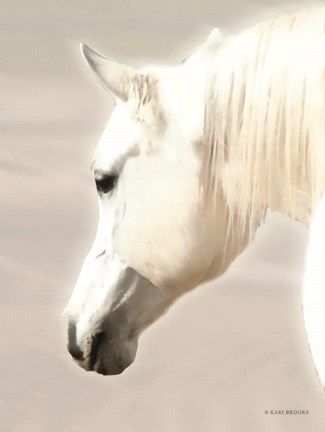 Framed Pegasus II Print