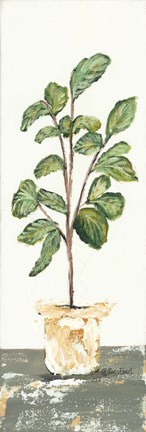 Framed Fig Tree Print