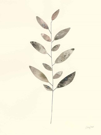 Framed Natural Wonder VI Print