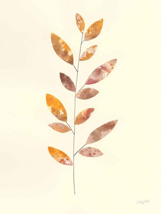 Framed Natural Wonder V Print