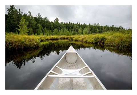 Framed Lily Pond Print