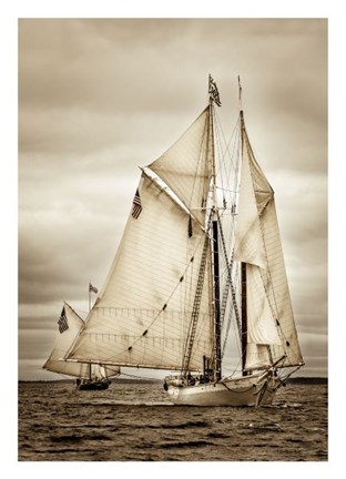 Framed Racing Downwind Wing-on-Wing Print