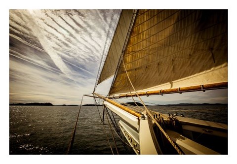 Framed Heading for the Harbor Print