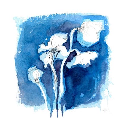 Framed Blue Poppy Print