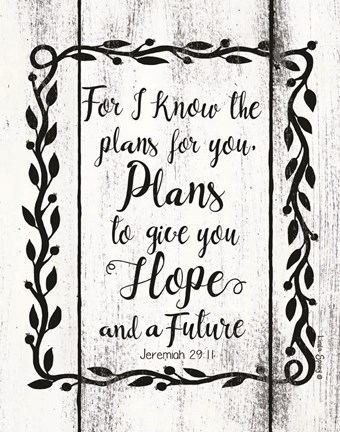 Framed Plans to Give You Hope Print