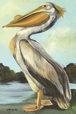 Framed Grand Pelican Print