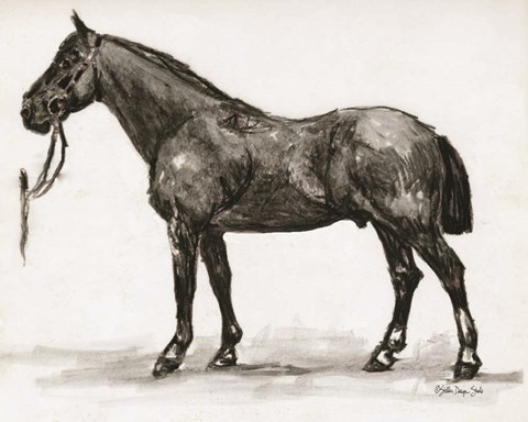 Framed Horse Study 4 Print
