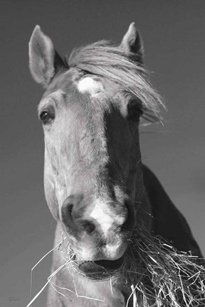 Framed Feeding Time v2 Print