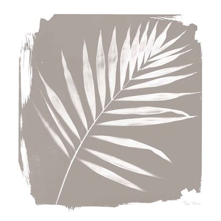 Framed Nature By The Lake - Frond II Sq Print