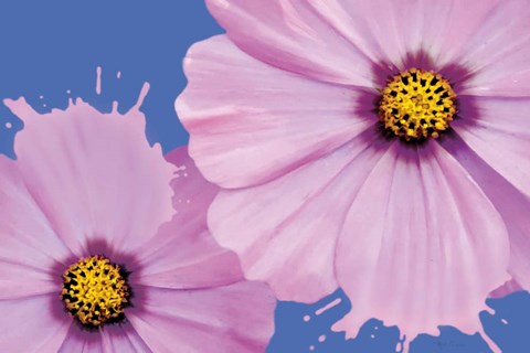 Framed Flower Pop landscape I Print