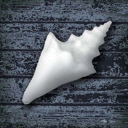 Framed Seashore Shells Navy III Print