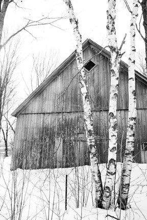 Framed Diamond Window Print