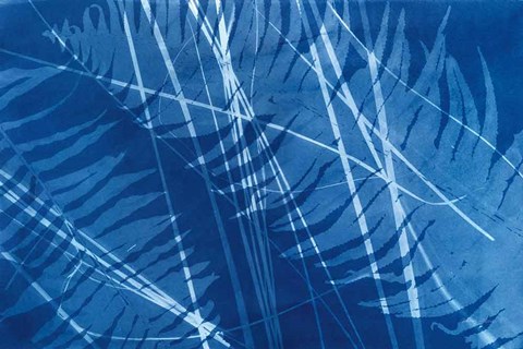 Framed Cyanotype Tropical XI Print