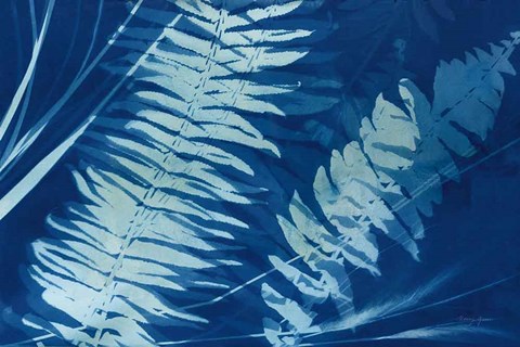 Framed Cyanotype Tropical X Print