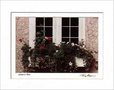 Framed Window Box Print
