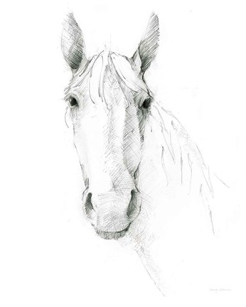 Framed Horse Sketch Print