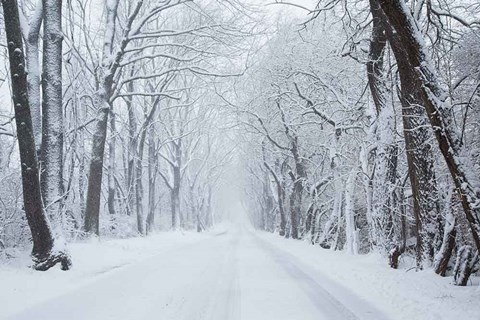 Framed Going Home Print