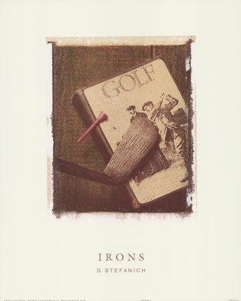 Framed Iron Study I Print