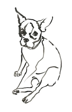 Framed Dog VI Print