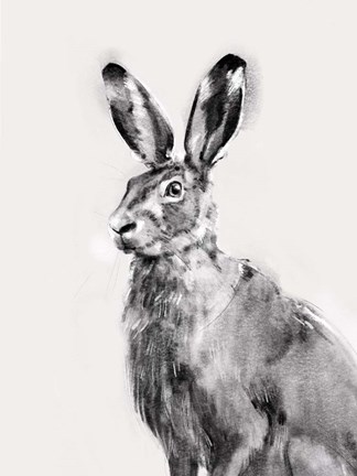 Framed Wild Hare I Print
