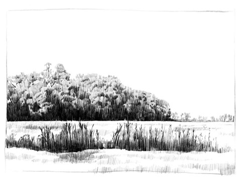Framed Northern Neck Landscape II Print