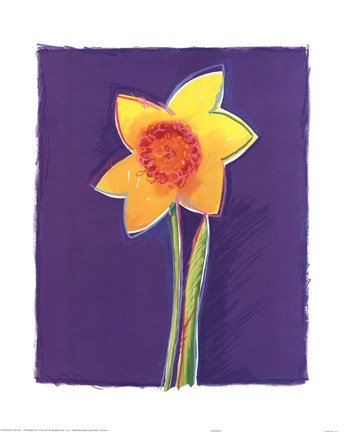 Framed Daffodil Print