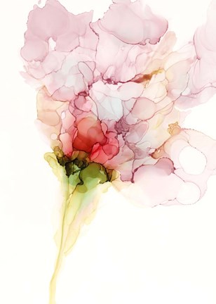 Framed Flower Passion I Print