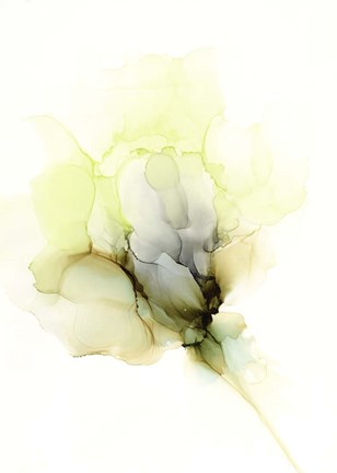 Framed Fluid Bloom II Print