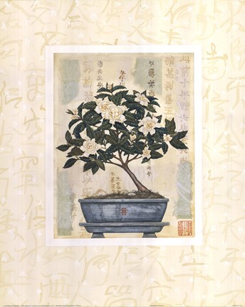 Framed Gardenia Bonsai Print