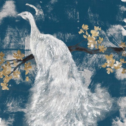 Framed White Peacock on Indigo II Print