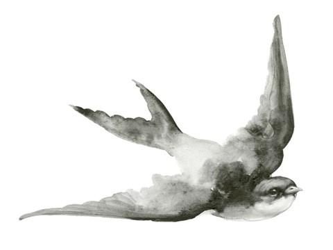 Framed Cloud Chasers I Print