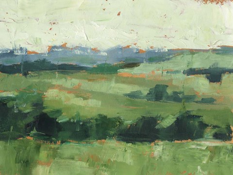 Framed Tree Line Vista II Print