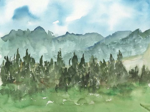 Framed Stand of Evergreens II Print