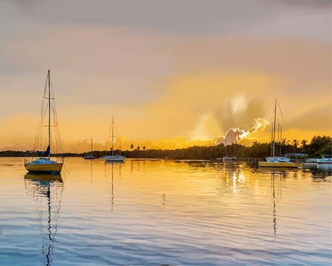 Framed In the Golden Light IV Print