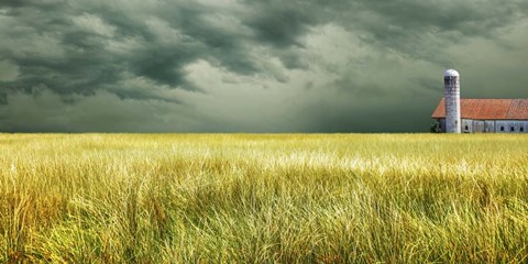 Framed Yellow Field Print