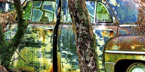 Framed Car Graveyard VIII Print