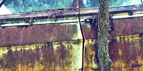 Framed Car Graveyard XI Print