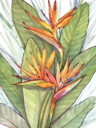 Framed Tropical Botanical Paradise I Print