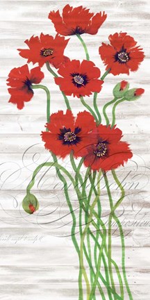Framed Red Poppy Panel I Print