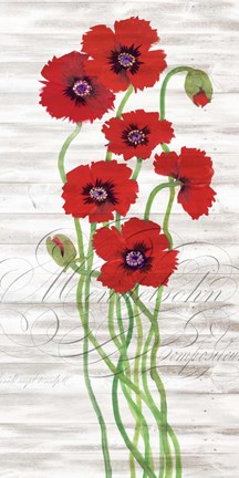 Framed Red Poppy Panel II Print